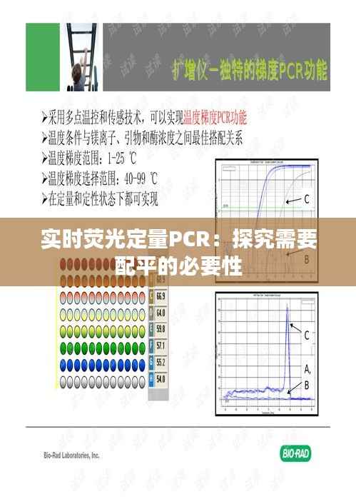 实时荧光定量PCR:探究需要配平的必要性
