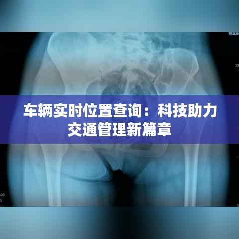 车辆实时位置查询:科技助力交通管理新篇章
