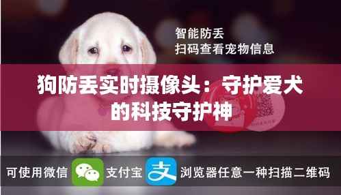 狗防丢实时摄像头:守护爱犬的科技守护神