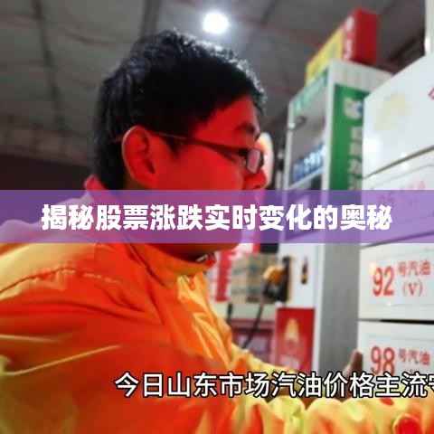 揭秘股票涨跌实时变化的奥秘