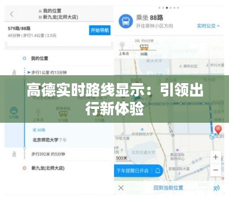 高德实时路线显示：引领出行新体验
