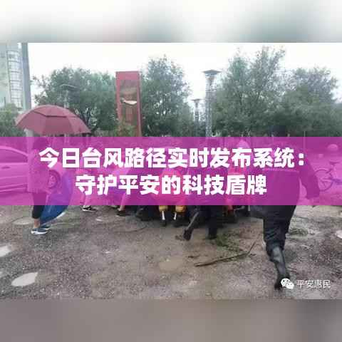 独出新裁 第5页