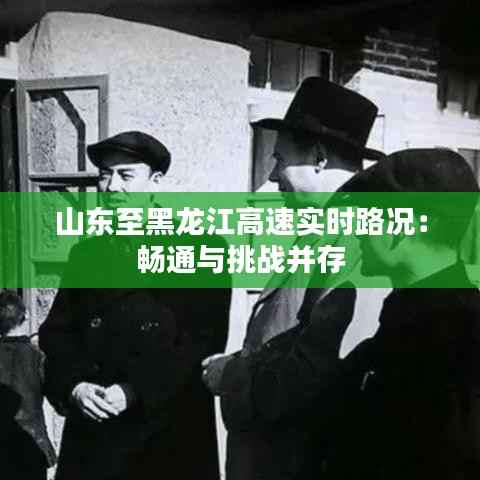 山东至黑龙江高速实时路况:畅通与挑战并存