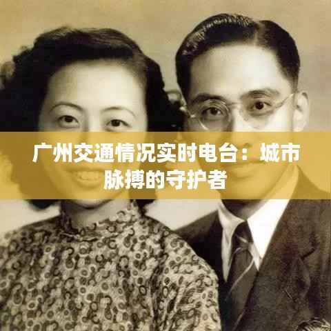 公司介绍 第241页