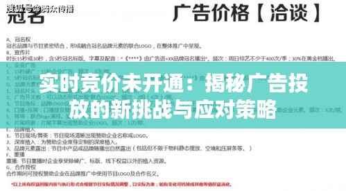 实时竞价未开通:揭秘广告投放的新挑战与应对策略