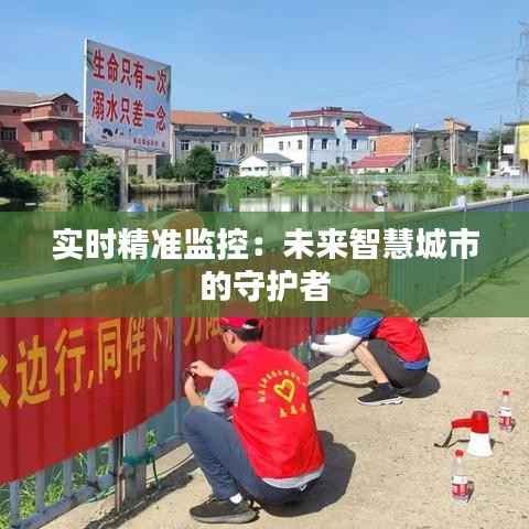 实时精准监控:未来智慧城市的守护者