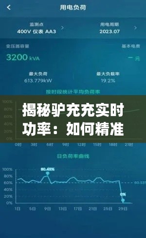 揭秘驴充充实时功率：如何精准监控能源消耗