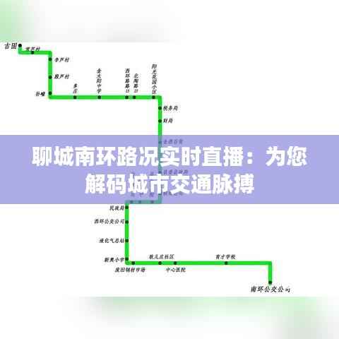 聊城南环路况实时直播：为您解码城市交通脉搏