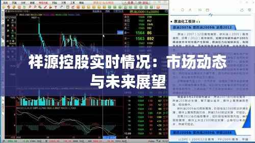 祥源控股实时情况:市场动态与未来展望