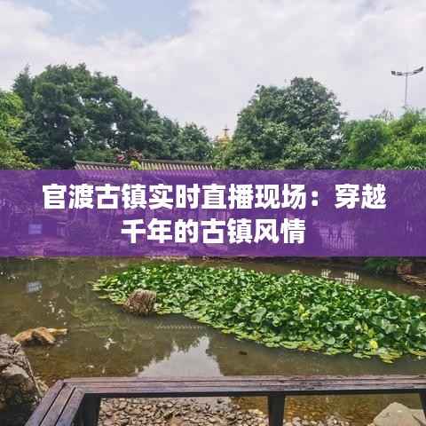 官渡古镇实时直播现场:穿越千年的古镇风情