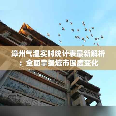 漳州气温实时统计表最新解析：全面掌握城市温度变化