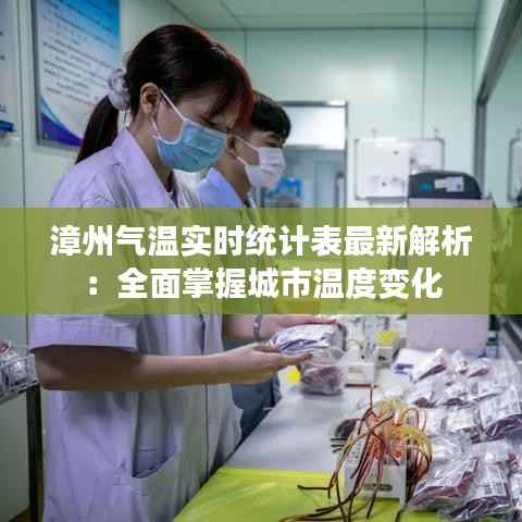 漳州气温实时统计表最新解析:全面掌握城市温度变化