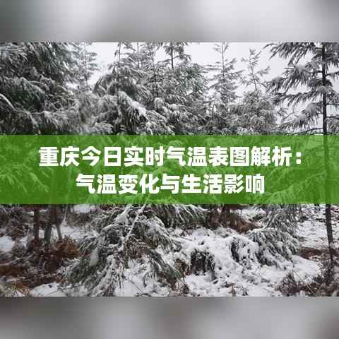 重庆今日实时气温表图解析:气温变化与生活影响