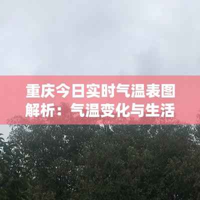 重庆今日实时气温表图解析:气温变化与生活影响