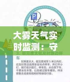 大雾天气实时监测:守护交通安全的科技利器