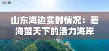 山东海边实时情况：碧海蓝天下的活力海岸线
