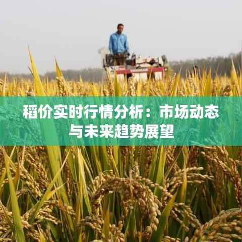 电子元件采购 第232页