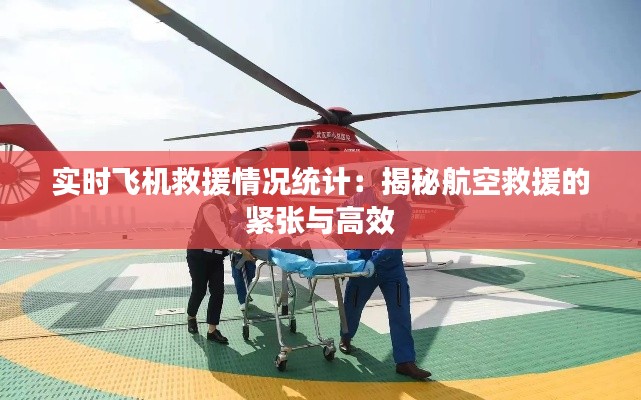实时飞机救援情况统计:揭秘航空救援的紧张与高效