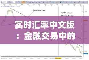 实时汇率中文版:金融交易中的关键工具