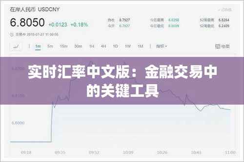 实时汇率中文版:金融交易中的关键工具