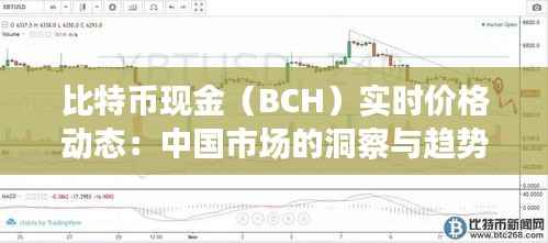 比特币现金（BCH）实时价格动态：中国市场的洞察与趋势分析