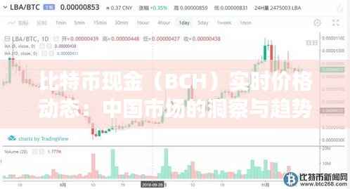 比特币现金(BCH)实时价格动态:中国市场的洞察与趋势分析