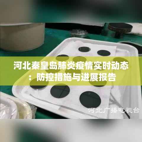 河北秦皇岛肺炎疫情实时动态:防控措施与进展报告