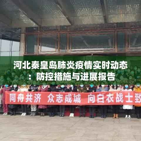 河北秦皇岛肺炎疫情实时动态:防控措施与进展报告
