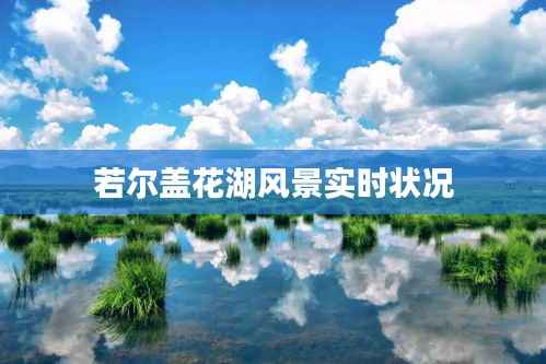 若尔盖花湖风景实时状况
