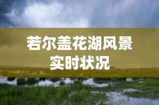 若尔盖花湖风景实时状况