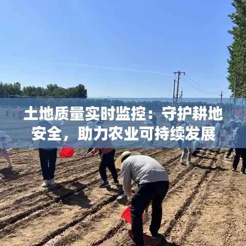 土地质量实时监控:守护耕地安全,助力农业可持续发展