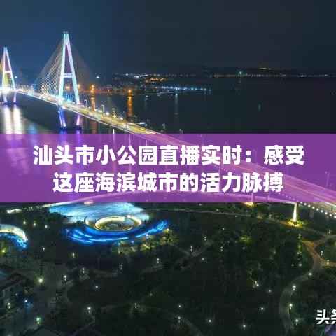 汕头市小公园直播实时：感受这座海滨城市的活力脉搏
