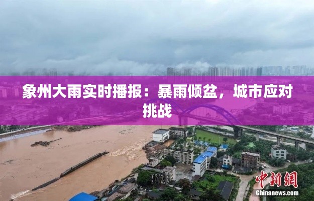 虎视眈眈 第4页