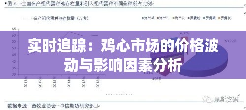 实时追踪:鸡心市场的价格波动与影响因素分析