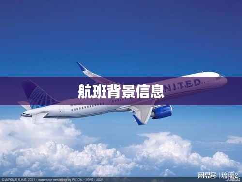 航班背景信息