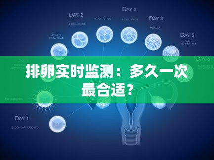 排卵实时监测:多久一次最合适?