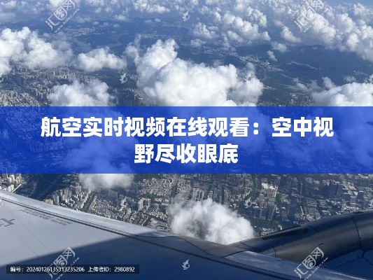 航空实时视频在线观看:空中视野尽收眼底
