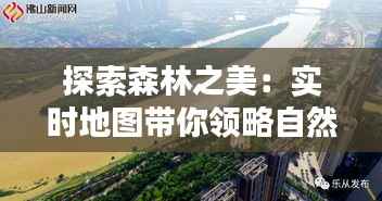 探索森林之美:实时地图带你领略自然魅力