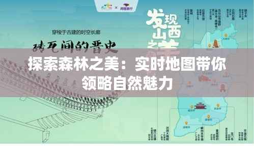 探索森林之美：实时地图带你领略自然魅力