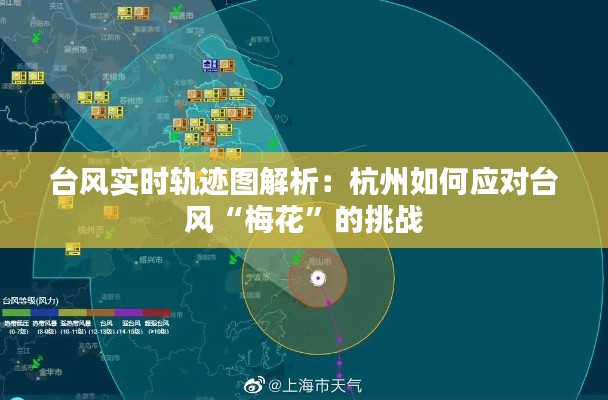 台风实时轨迹图解析：杭州如何应对台风“梅花”的挑战