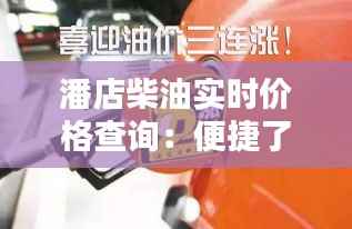 潘店柴油实时价格查询：便捷了解油价的利器