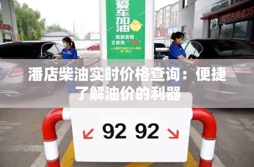 潘店柴油实时价格查询:便捷了解油价的利器