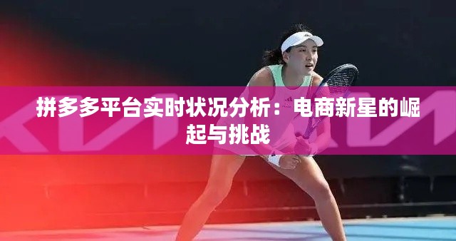 拼多多平台实时状况分析：电商新星的崛起与挑战