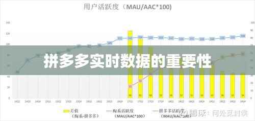拼多多实时数据的重要性