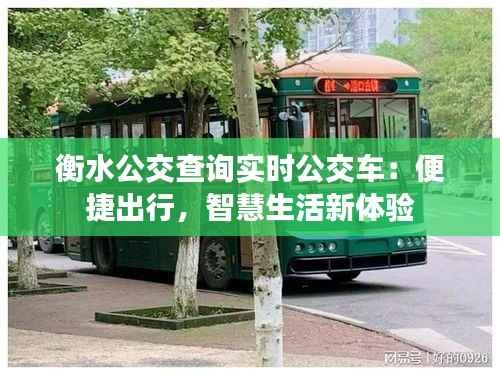 衡水公交查询实时公交车:便捷出行,智慧生活新体验