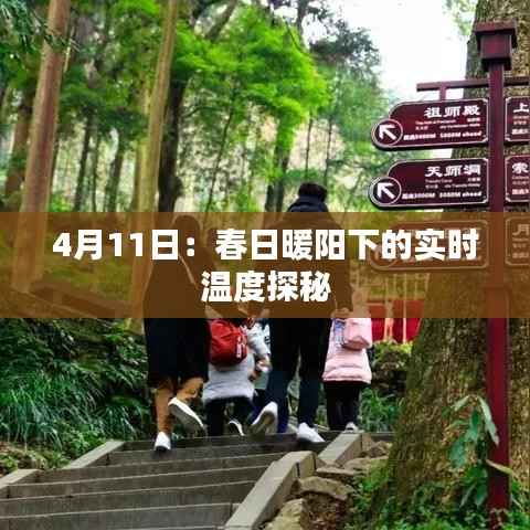 4月11日：春日暖阳下的实时温度探秘