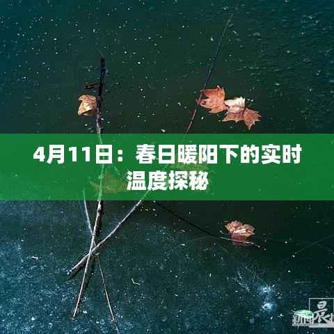 4月11日:春日暖阳下的实时温度探秘