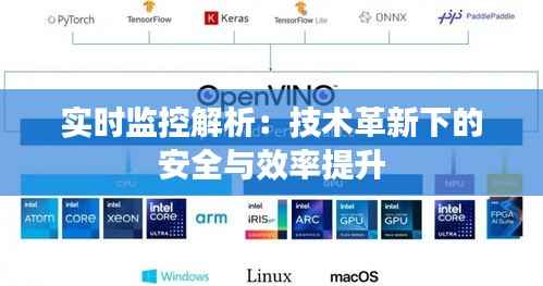 实时监控解析:技术革新下的安全与效率提升