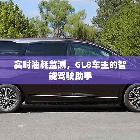 实时油耗监测,GL8车主的智能驾驶助手