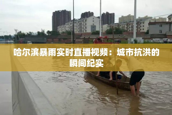 哈尔滨暴雨实时直播视频:城市抗洪的瞬间纪实